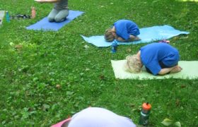 Story Circle Outside #1 Honeybees #3 Mindfulness Camp Seed Pose July 2019 WEJ